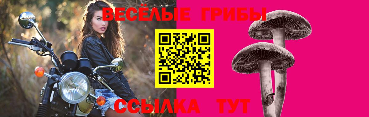 Галлюциногенные грибы мухоморы Ирбит